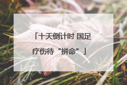 十天倒计时 国足疗伤待“拼命”