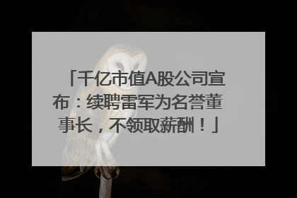 千亿市值A股公司宣布：续聘雷军为名誉董事长，不领取薪酬！