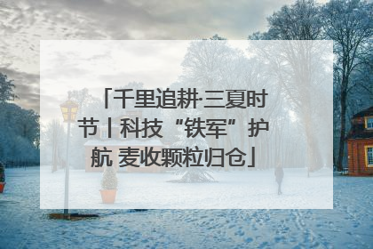 千里追耕·三夏时节丨科技“铁军”护航 麦收颗粒归仓