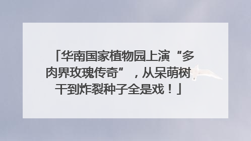 华南国家植物园上演“多肉界玫瑰传奇”，从呆萌树干到炸裂种子全是戏！