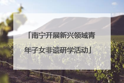 南宁开展新兴领域青年子女非遗研学活动