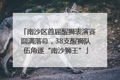 南沙区首届醒狮表演赛圆满落幕，38支醒狮队伍角逐“南沙狮王”