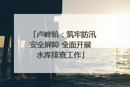 卢峰镇：筑牢防汛安全屏障 全面开展水库排查工作
