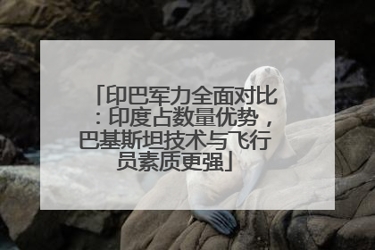 印巴军力全面对比：印度占数量优势，巴基斯坦技术与飞行员素质更强