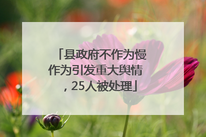 县政府不作为慢作为引发重大舆情，25人被处理