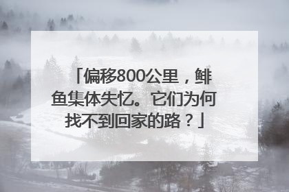 偏移800公里，鲱鱼集体失忆。它们为何找不到回家的路？