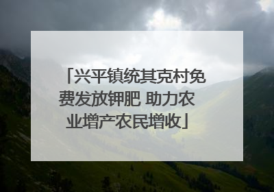 兴平镇统其克村免费发放钾肥 助力农业增产农民增收