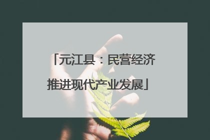 元江县：民营经济推进现代产业发展