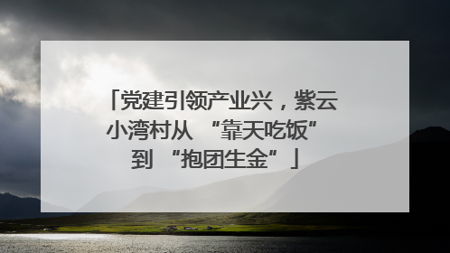 党建引领产业兴，紫云小湾村从 “靠天吃饭” 到 “抱团生金”