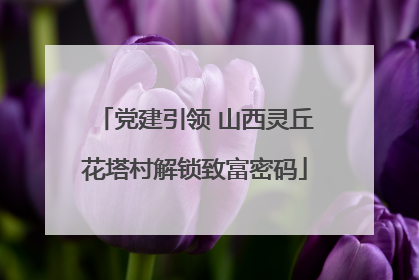 党建引领 山西灵丘花塔村解锁致富密码