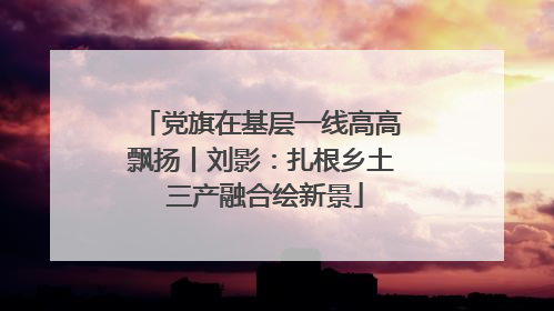 党旗在基层一线高高飘扬丨刘影：扎根乡土 三产融合绘新景