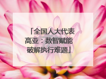 全国人大代表高亚：数智赋能破解执行难题