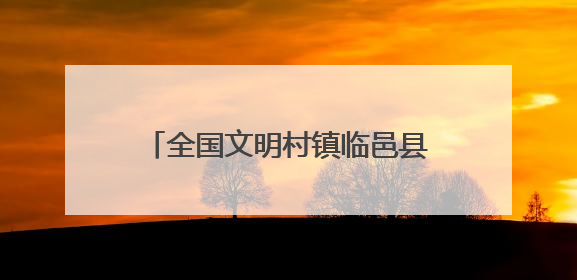 全国文明村镇临邑县前杨新村：从贫困村到全国文明村华丽蜕变