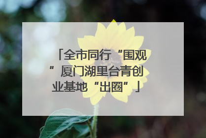 全市同行“围观”厦门湖里台青创业基地“出圈”