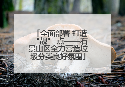 全面部署 打造“靓” 点——石景山区全力营造垃圾分类良好氛围