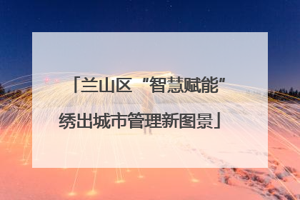 兰山区“智慧赋能”绣出城市管理新图景