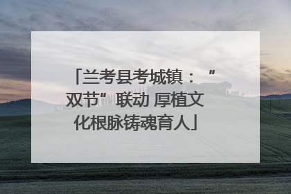 兰考县考城镇：“双节”联动 厚植文化根脉铸魂育人