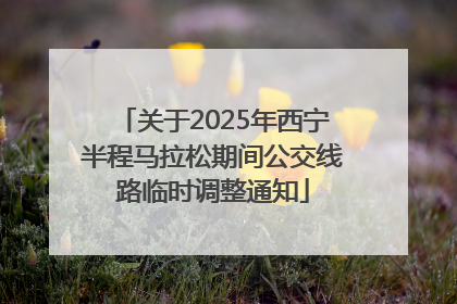 关于2025年西宁半程马拉松期间公交线路临时调整通知