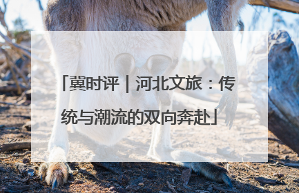 冀时评｜河北文旅：传统与潮流的双向奔赴