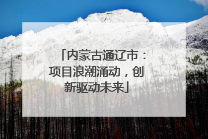 内蒙古通辽市：项目浪潮涌动，创新驱动未来