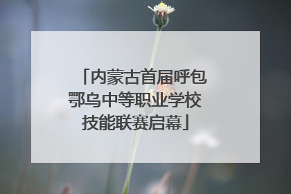 内蒙古首届呼包鄂乌中等职业学校技能联赛启幕
