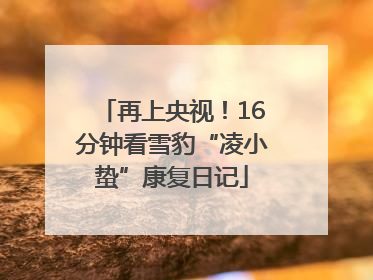 再上央视！16分钟看雪豹“凌小蛰”康复日记