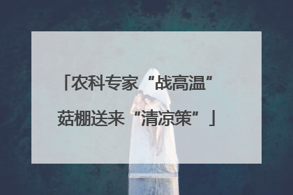 农科专家“战高温” 菇棚送来“清凉策”