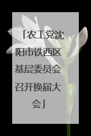 农工党沈阳市铁西区基层委员会召开换届大会