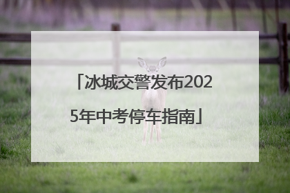 冰城交警发布2025年中考停车指南