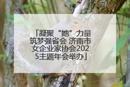 凝聚“她”力量 筑梦强省会 济南市女企业家协会2025主题年会举办