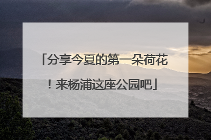 分享今夏的第一朵荷花！来杨浦这座公园吧