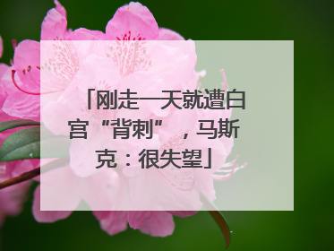 刚走一天就遭白宫“背刺”，马斯克：很失望