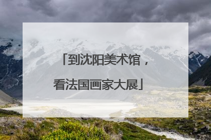 到沈阳美术馆，看法国画家大展