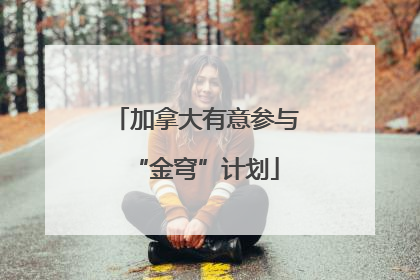 加拿大有意参与“金穹”计划