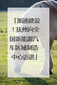加速建设！抚州向全国新能源汽车区域制造中心迈进