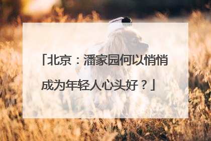 北京：潘家园何以悄悄成为年轻人心头好？