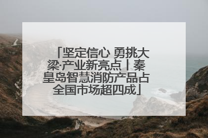 坚定信心 勇挑大梁·产业新亮点丨秦皇岛智慧消防产品占全国市场超四成