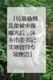 垃圾偷倒乱象被央视曝光后，萍乡市委书记实地督导专项整治