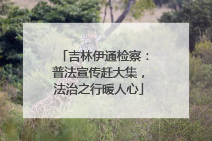 吉林伊通检察：普法宣传赶大集，法治之行暖人心