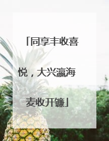 同享丰收喜悦，大兴瀛海麦收开镰