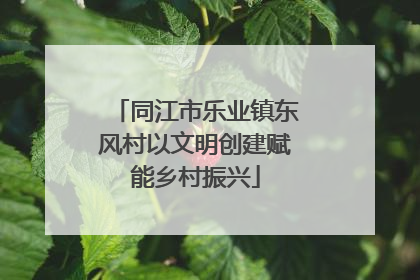 同江市乐业镇东风村以文明创建赋能乡村振兴