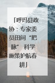 呼玛县政协：专家委员田间“把脉” 科学施策护航春耕