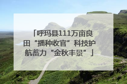 呼玛县111万亩良田“播种收官”科技护航蓄力“金秋丰景”