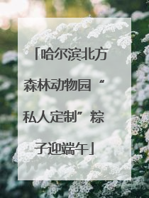 哈尔滨北方森林动物园“私人定制”粽子迎端午