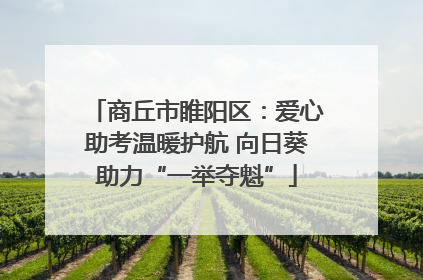 商丘市睢阳区：爱心助考温暖护航 向日葵助力“一举夺魁”