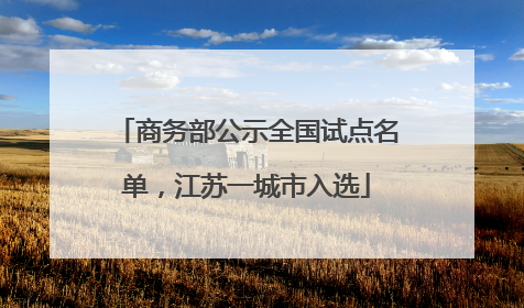 商务部公示全国试点名单，江苏一城市入选