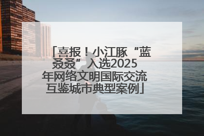 喜报！小江豚“蓝叒叒”入选2025年网络文明国际交流互鉴城市典型案例