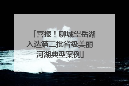喜报！聊城望岳湖入选第二批省级美丽河湖典型案例