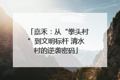 嘉禾：从“拳头村”到文明标杆 清水村的逆袭密码