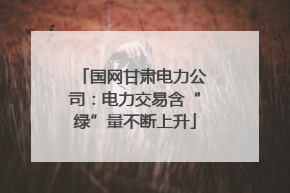 国网甘肃电力公司：电力交易含“绿”量不断上升